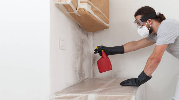 Attic Mold Remediation treatment on roof deck in Christiana